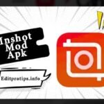 Inshot Mod Apk