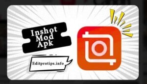 Inshot Mod Apk