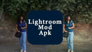 Lightroom Mod Apk
